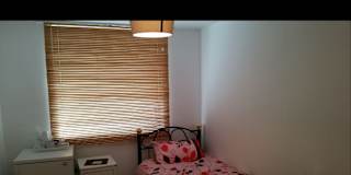 Nashaat's room