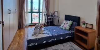 Seow yao hua's room