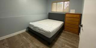 bishu's room