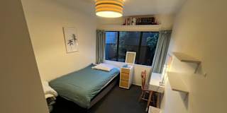 Troy's room