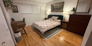Ziggy's room