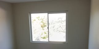 Michael Adams's room