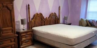 Lauren's room