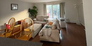 Ayden Mauro's room