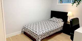 Shahram's room