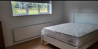 Colin's room