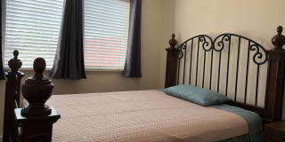 Jasmine's room