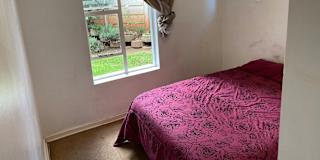 Kolunga Zuma's room