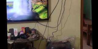 Manoj Deb's room