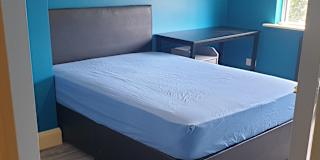 Alex's room