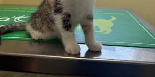 Margie DeMille's room