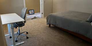 Cat's room