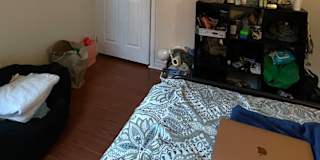 ochi's room