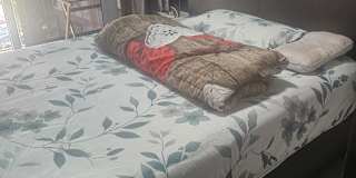 Usha Rani's room