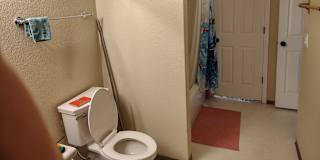 Zach's room