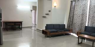 Divyanshi's room