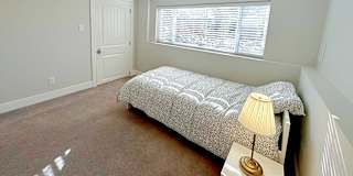 Shahram's room