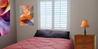 STEVE's room