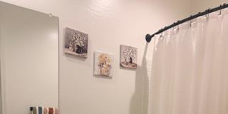 Stephen's room