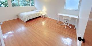 Shirin's room