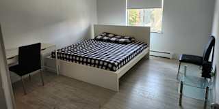 Milomir's room