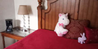 Mary's room