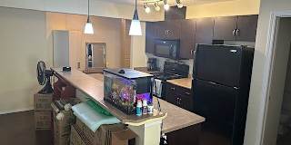 Ryan's room