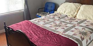 Patricia's room