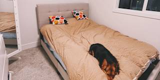 Deeya's room