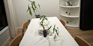 Layla Chen's room