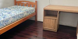 Lily's room