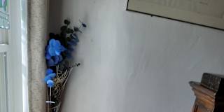 Stacey's room