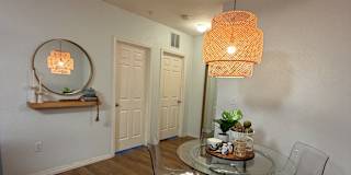 shay's room