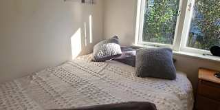 Jasmine's room