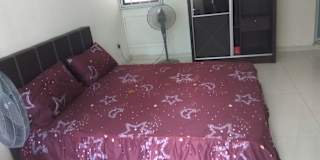 Rose's room