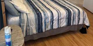 Patria Barnes's room