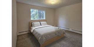 Todd's room