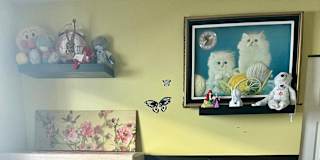 Sharlin's room