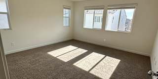 Steve's room