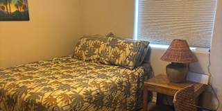 Patricia's room