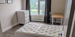 Hans's room