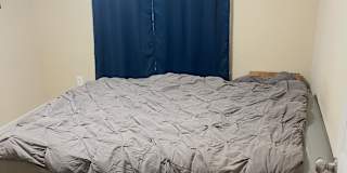 Rich's room