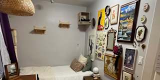 Saffron du Preez's room
