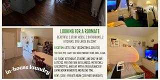 Adam Al Fraih's room