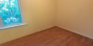 Lauren's room
