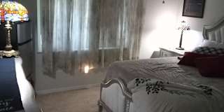 David Stout's room