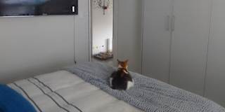Debbie Mocke's room