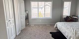 Faith's room