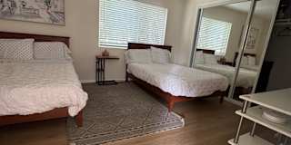 patricia's room