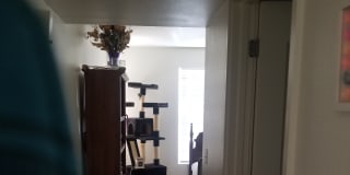 Linda's room
